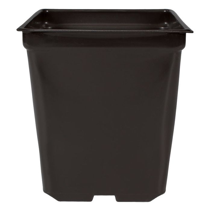 Square Pot 5x5x4.5 1.25 Qt