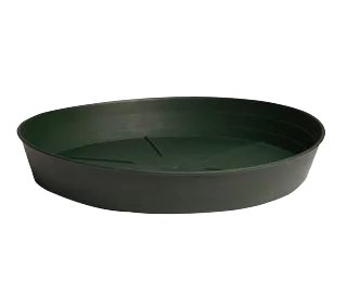 Premium Green Saucer