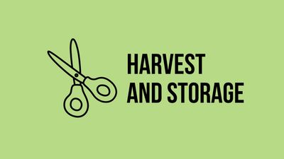 Harvest &amp; Storage