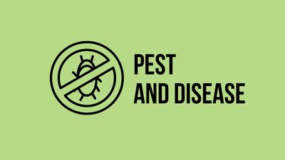 Pest &amp; Disease Control