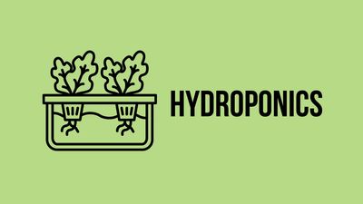 Hydroponics