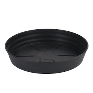 Grow1 10" Black Saucer