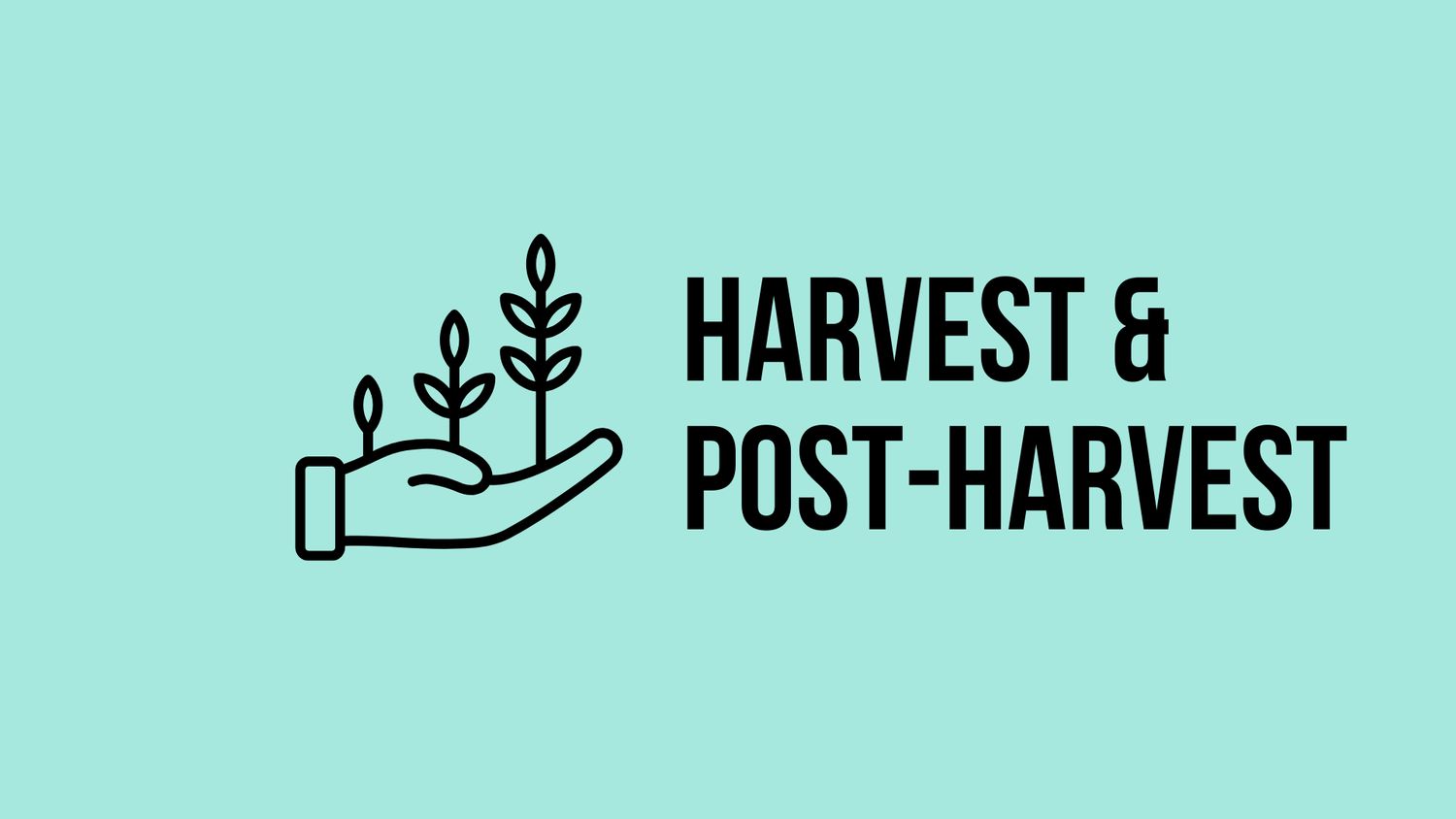 Cleveland Harvest &amp; Post Harvest Class