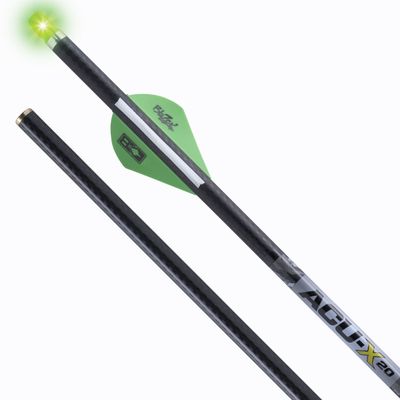 Crossbow Bolts