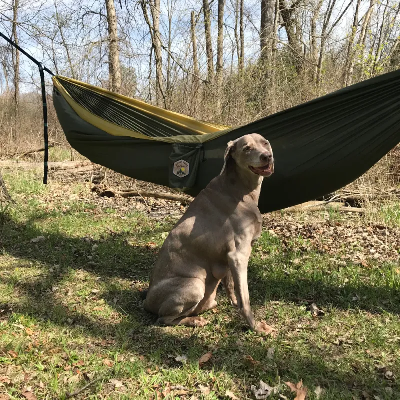 Double Hammock