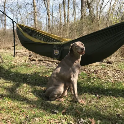 Double Hammock