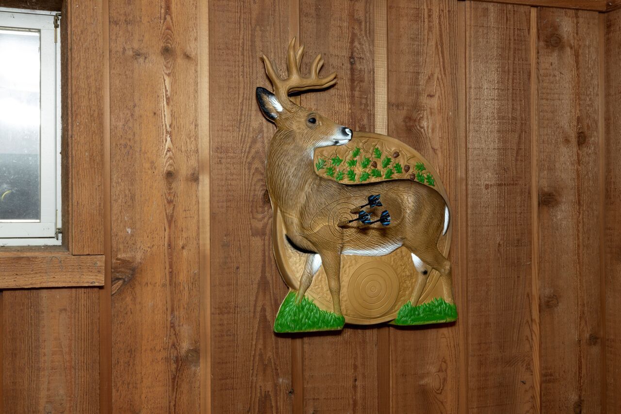 Whitetail Rinehart Foam Dartboard