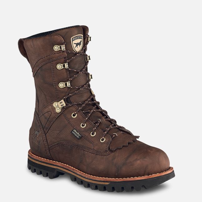 Irish Setter Elk Tracker A0861