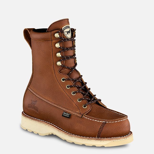 Irish Setter Wingshooter A0894