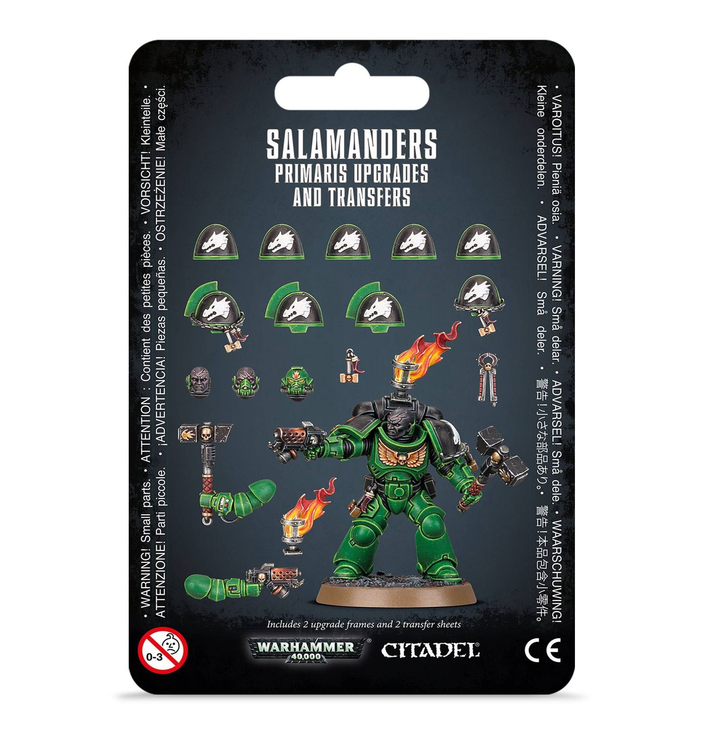 Salamanders: Upgrades &amp; Transfers
