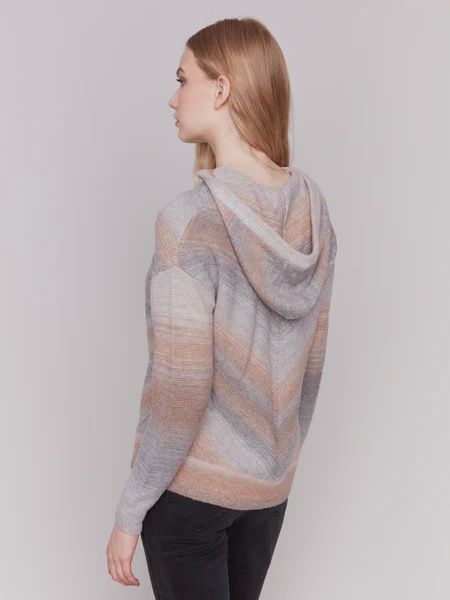 CB PEBBLES HOODED SWEATER