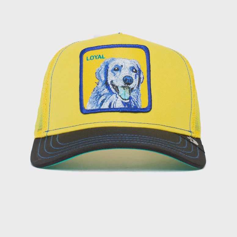 GB DOG TRIP