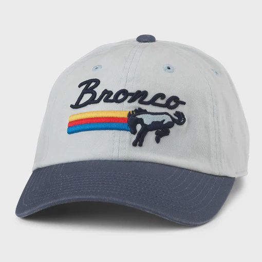 A Needle Ford Bronco Ball Park