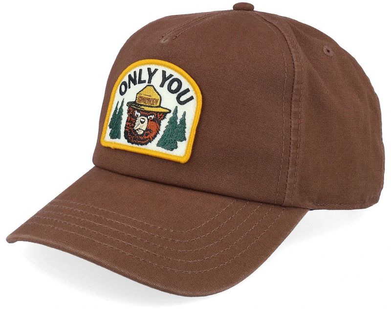 A Needle Smokey Bear Canvas Rosoe