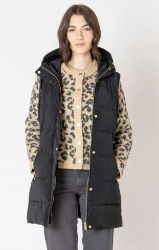 Dex Hooded Puffer Vest 2629005 D