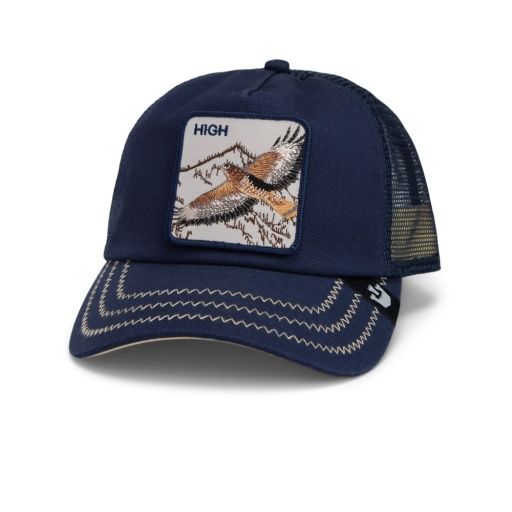 GB 101-2119 Flying High