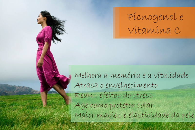 Picnogenol 75mg + Vitamina C 200mg - Cápsula Picnogenol 75mg + Vitamina C 200mg - Cápsula