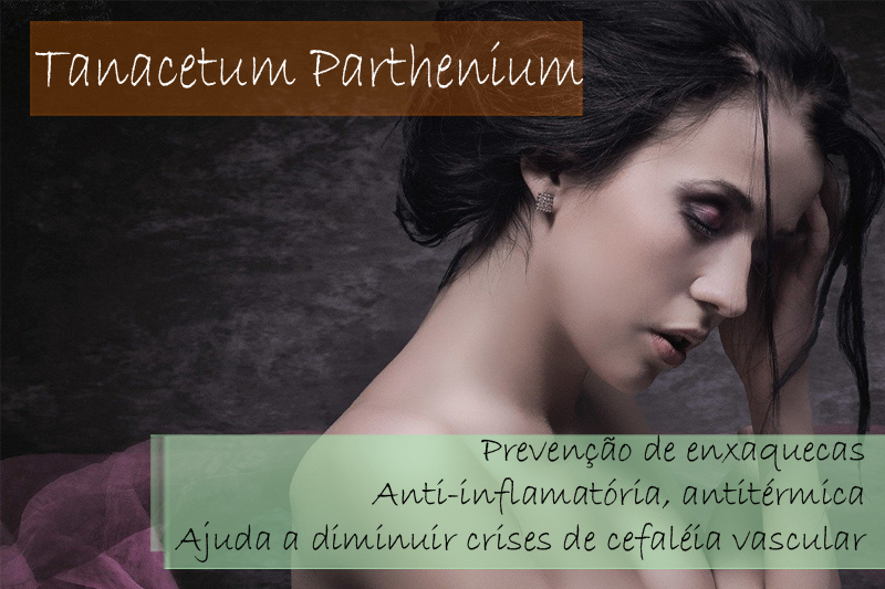 Tanacetum Parthenium extrato seco  120mg - Cápsula