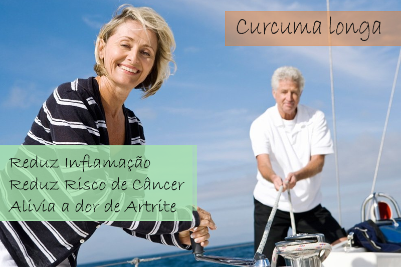 Curcuma longa 300mg - Cápsula