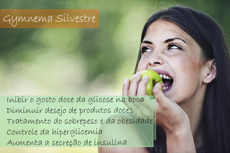 Gymnema Silvestre Extrato Seco 500mg -Cápsula Gymnema Silvestre Extrato Seco 500mg -Cápsula