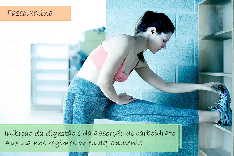 Faseolamina 500mg - Cápsula Faseolamina 500mg - Cápsula