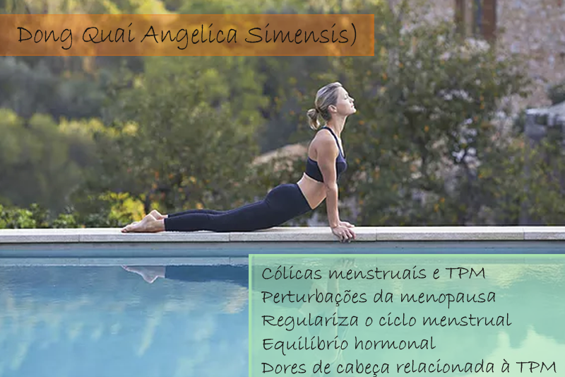 Dong Quai (Angelica Simensis) Extrato Seco 200mg - Cápsula Dong Quai (Angelica Simensis) Extrato Seco 200mg - Cápsula