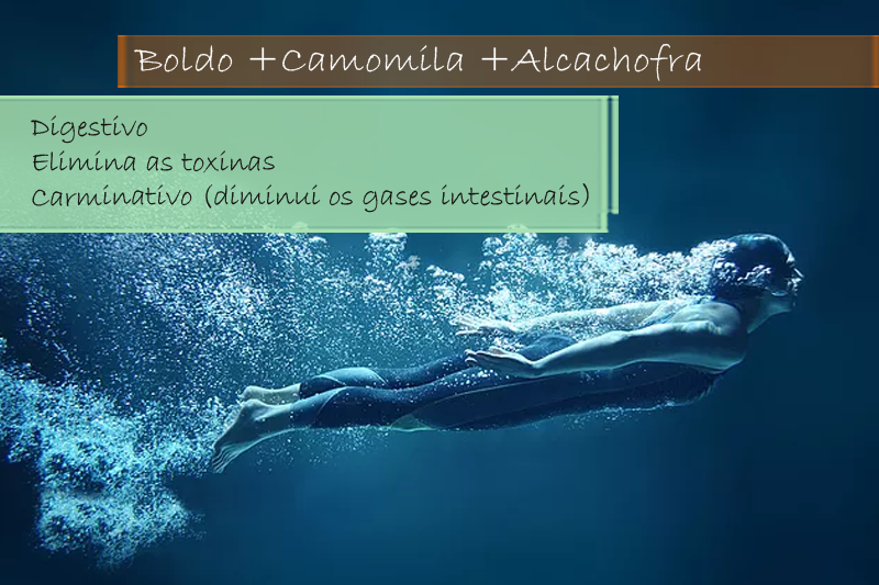 Boldo extrato seco 200mg; Camomila 50mg; Alcachofra extrato seco 250mg - Cápsula Boldo extrato seco 200mg; Camomila 50mg; Alcachofra extrato seco 250mg - Cápsula
