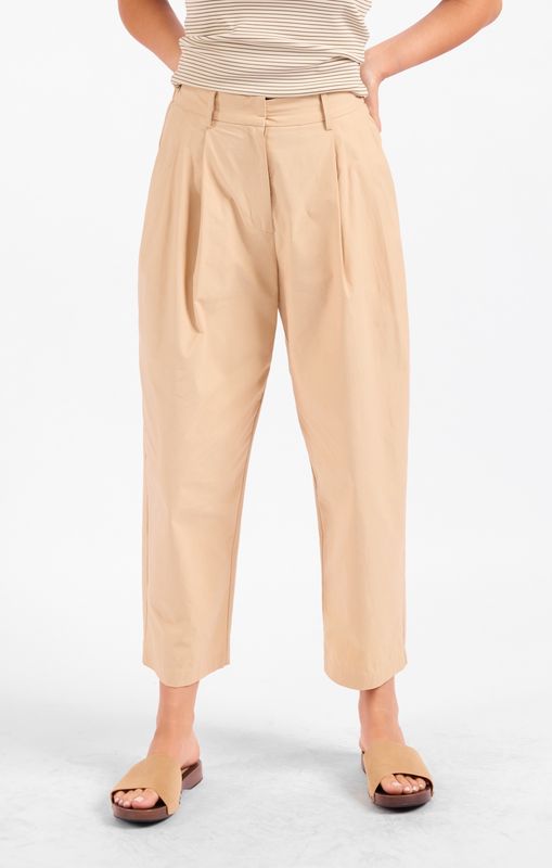 Pleated Pants