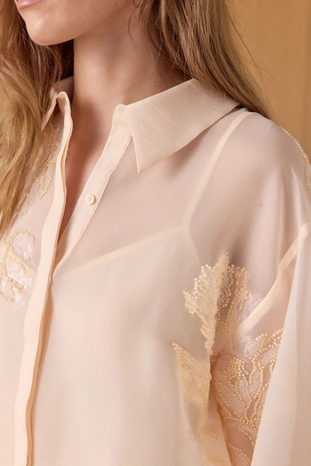 Sheer Beaded Long Sleeve Blouse