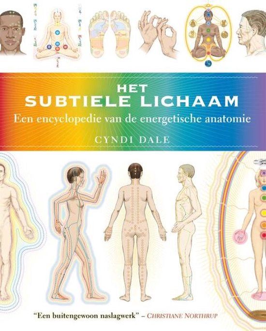 Het subtiele lichaam - Cyndi Dale