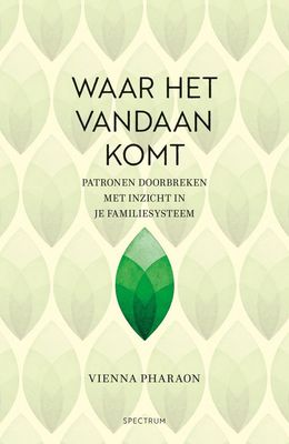 Waar het vandaan komt - Vienna Pharaon