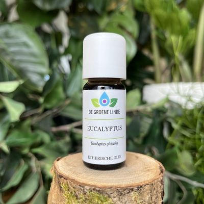 De Groene Linde - Eucalyptus (Enkelvoudige) Etherische Olie 10ml