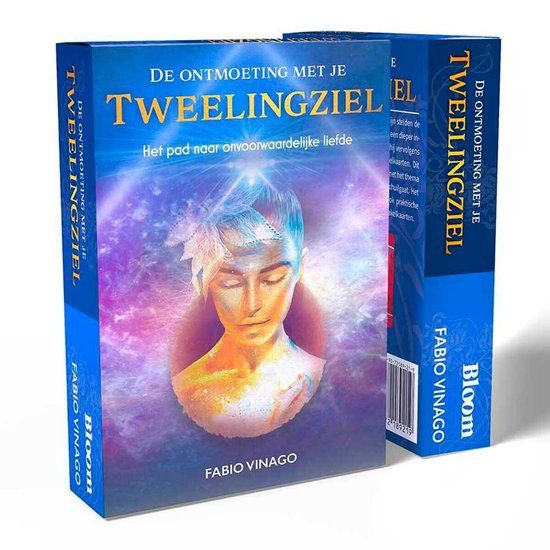 De ontmoeting met je tweelingziel - Fabio Vinago