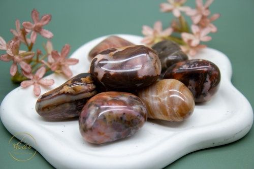 Versteend Hout Zaksteen 10-20 gram