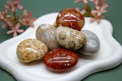 Versteend Koraal Zaksteen 10-20g-86437