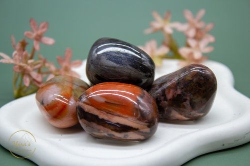 Versteend Hout Zaksteen 20-30 gram