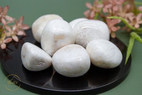 Scoleciet zaksteen 10-20g