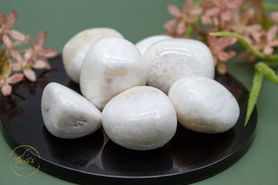 Scoleciet zaksteen 10-20g
