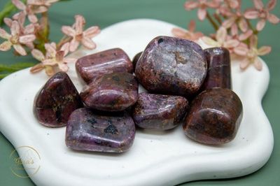 Robijn Zaksteen 15-25g