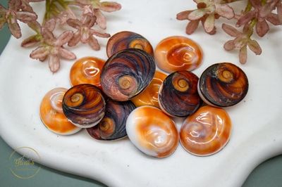 Oog van Shiva 2g