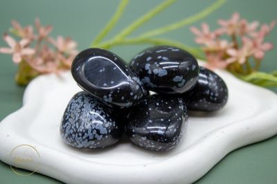 Sneeuwvlok obsidiaan zaksteen 10-20g