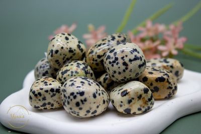 Dalmatiër Jaspis zaksteen 10-15g