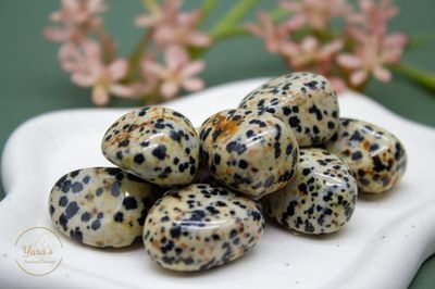 Dalmatiër Jaspis zaksteen 5-10g