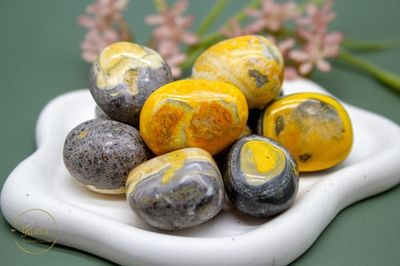 Bumble Bee Jaspis zaksteen 10-20g