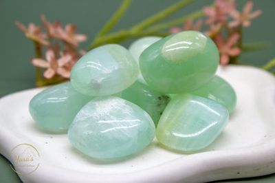 Pistache Calciet (Caribbean Green)  zaksteen 15-25g