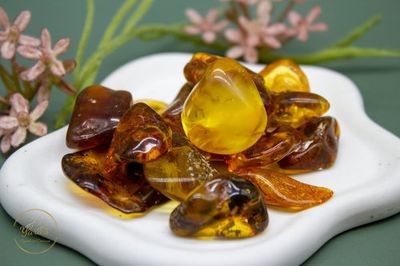 Barnsteen (Amber) Zaksteen 1-5g