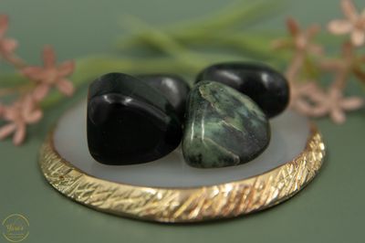 Aegirien Zaksteen 10-20g