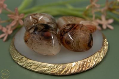 Bandagaat Zaksteen  20-30g