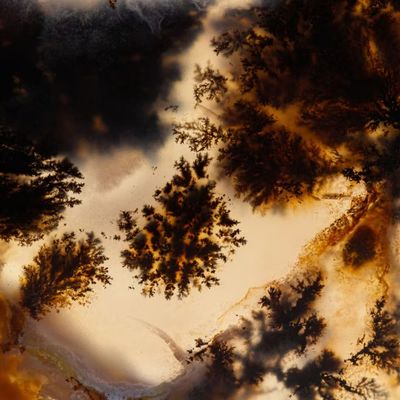 Dendriet Agaat