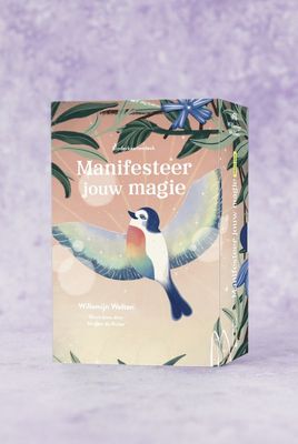 Kinder kaartendeck manifesteer jouw magie - Willemijn Welten